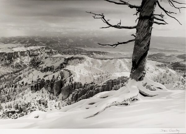 Joan Gentry , Bryce Overlook