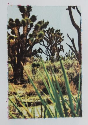 Jodie Hooker , Mojave #3