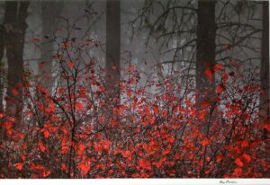 Larry Brenden , Red Riot, Burney Falls State Park