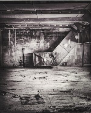 Mark Coggins , Drying Room