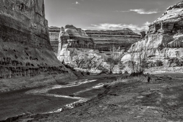 Canyon Floor, The Maze
