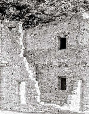 Spruce Tree House