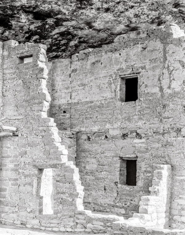 Spruce Tree House