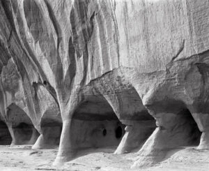 The Windows