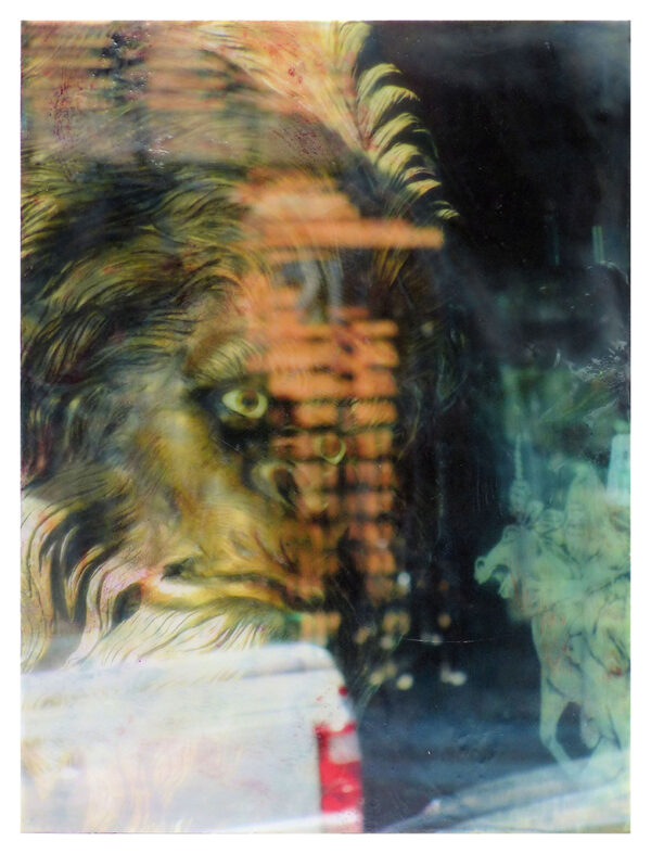 John Angell – Window Shopping