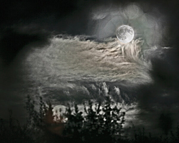 Lee Holmes – Holding up the Moon