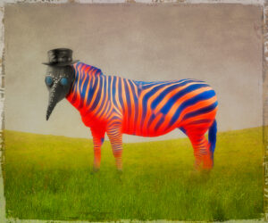 Jerry Kapler – Zebra With Plague Doctor Bird Mask