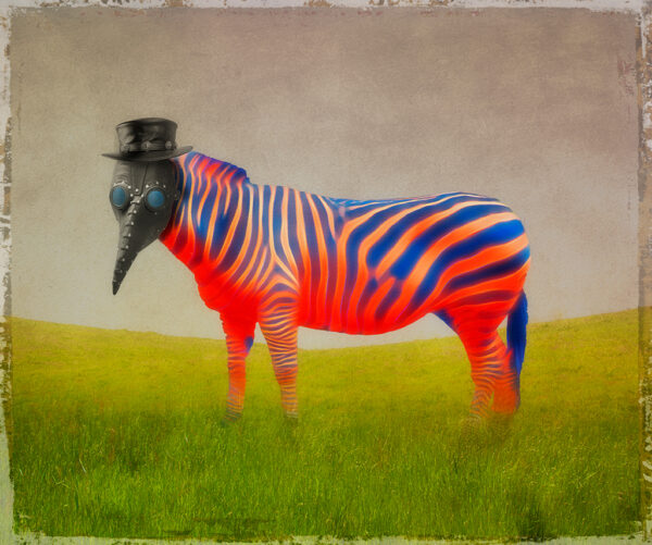 Jerry Kapler – Zebra With Plague Doctor Bird Mask