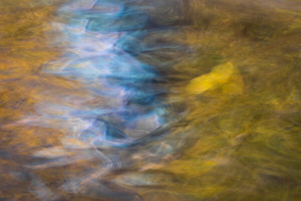 Jan Lightfoot – The Leaf on the Lake