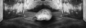 Jim McMahen – Resting Pear