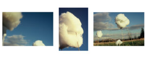 Leah Murphy – Cloud Gazing in Three Parts