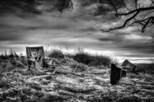 David Nasater – This Species Amused Itself to Death