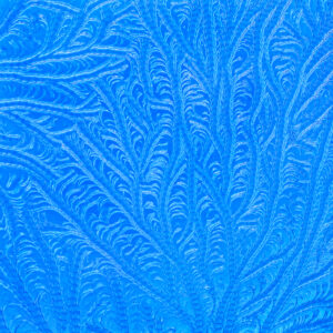 Joy Nieslony – Ice Study #7