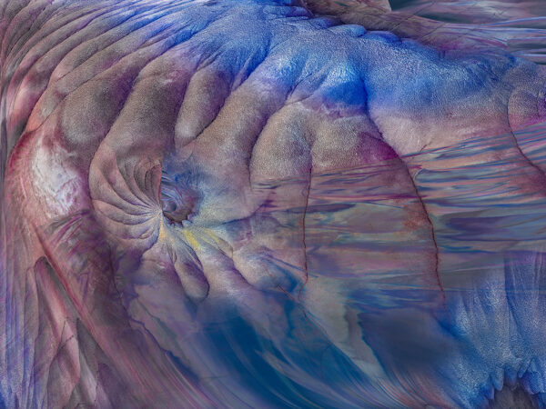 Darrell O’Sullivan – Emergence