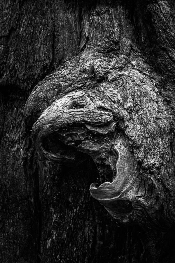 Mircea Ouatu-Lascar – Gargoyle