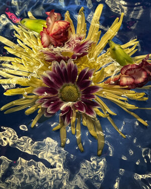 Michael Radin – Bouquet #1