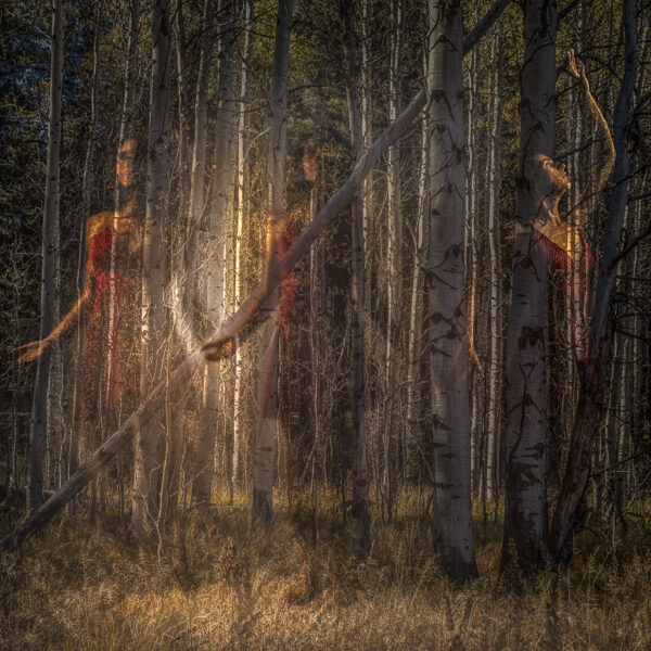 David Robertson – Time to Ascend