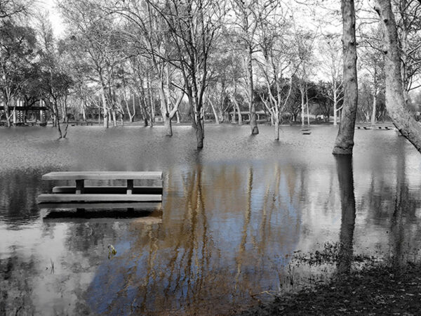Theresa Sarappo – Discovery Park Underwater