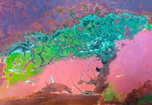 Susan Scholey – Car Rust