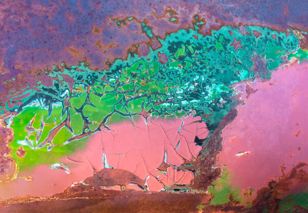 Susan Scholey – Car Rust