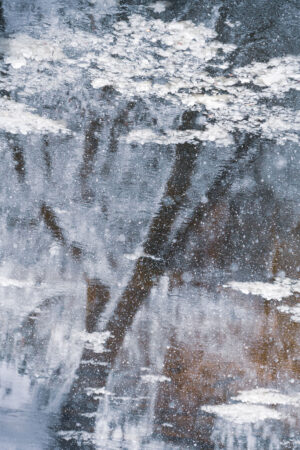 Kathleen Sewell – Ice Blossoms