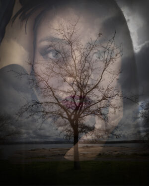 Daryl Stinchfield – The Lady of the Lake