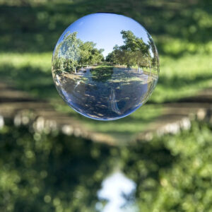 Dave Sutherland – Orchard in a Bubble