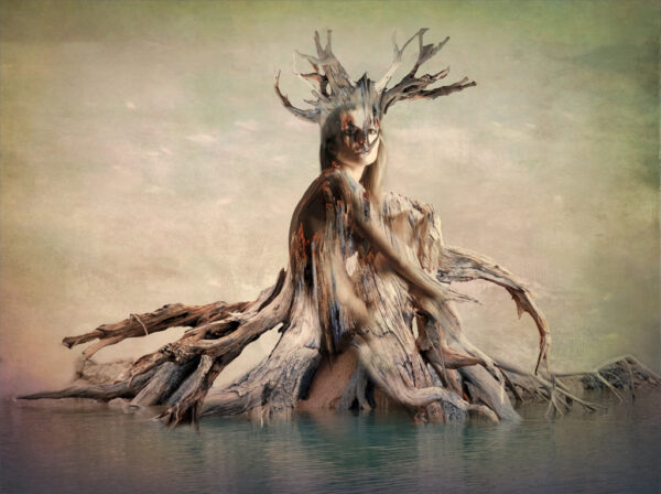 Kathy Triolo – Metamorphosis