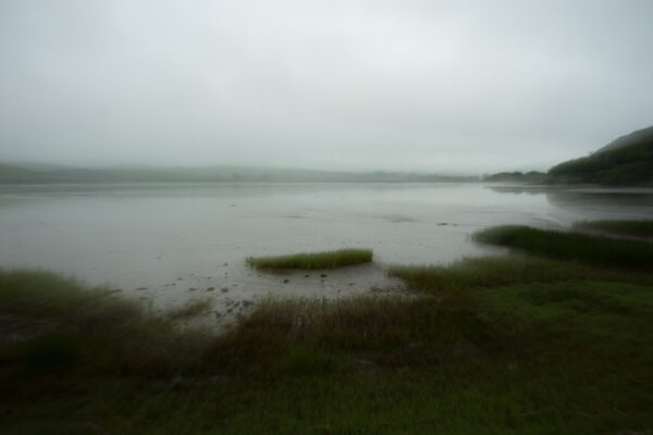 James Wilson – Flying Over the Silent Marsh