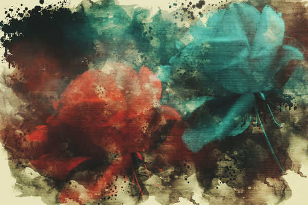 Sabina Zildzic - Love and Life