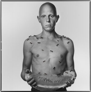 Ants and Watermelon