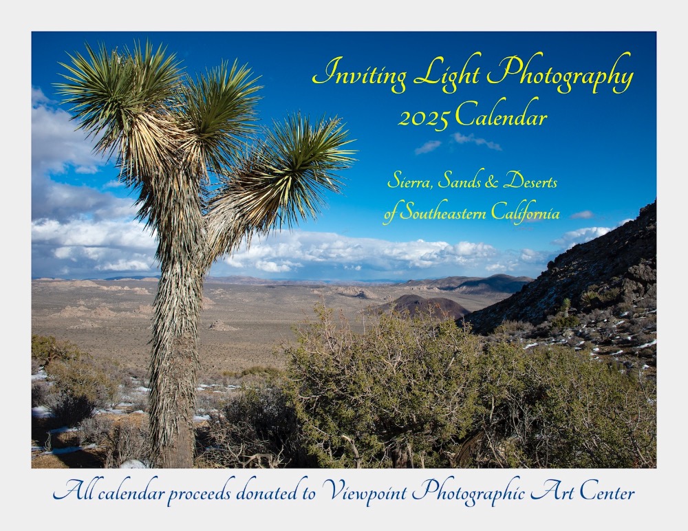 Inviting Light 2025 Calendar Cover