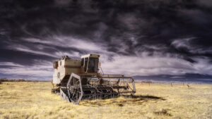 Abandoned Harvester, Yuba County, California