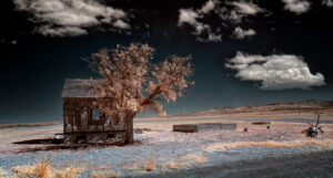 Abandoned Farmhouse with Tree, Utah