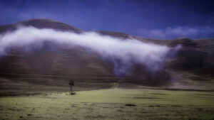 Windmill, Drifting Fog, San Benito County, California