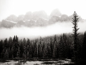 Sawback Range