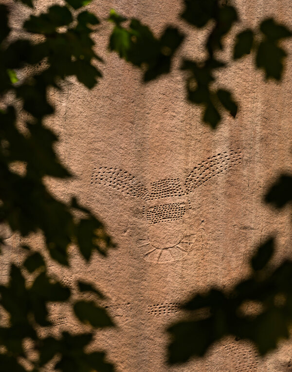 Leaf Flight