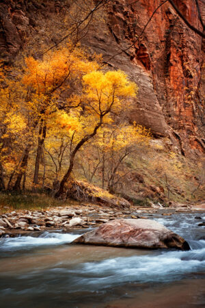 Virgin River