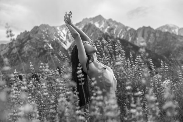 Blooming Open Heart