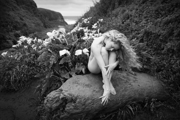 Garden of Eden