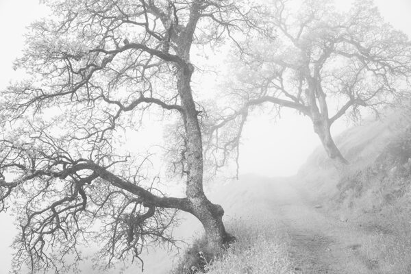 Gateway to Spring