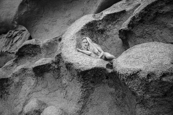 In the Eye of the Stone