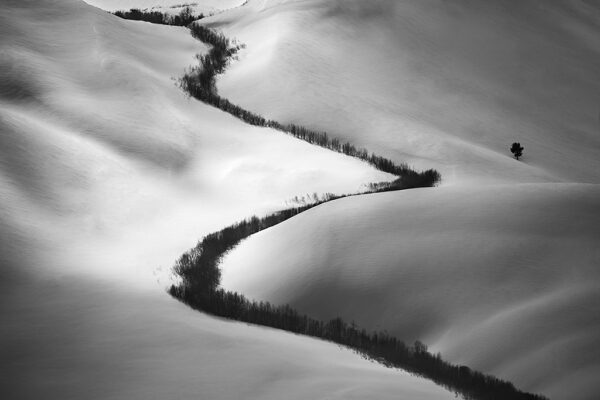 Nature’s Curves