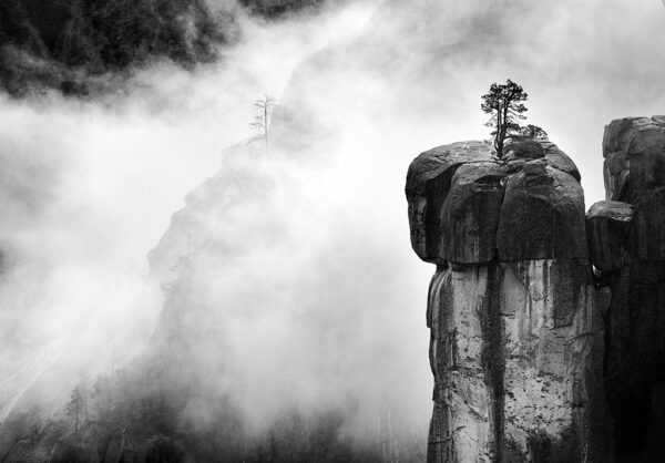 Rostrum in Storm
