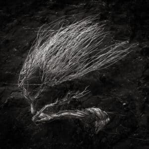 Banshee