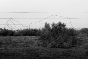 Barbed Wire