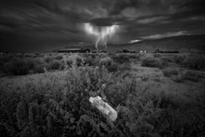 I.D. Tag in Lightening Storm