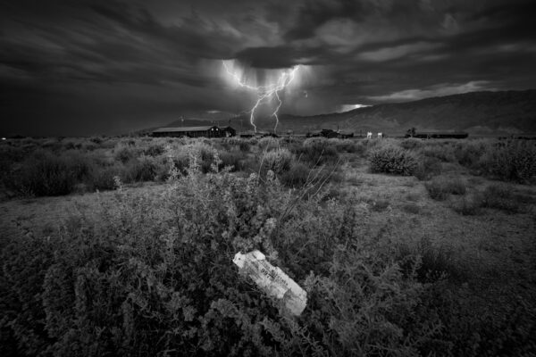 I.D. Tag in Lightening Storm