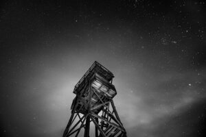 They Cannot Take Away the Stars