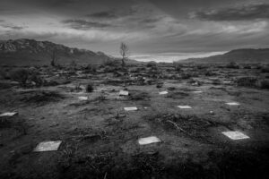 Where Dreams Die